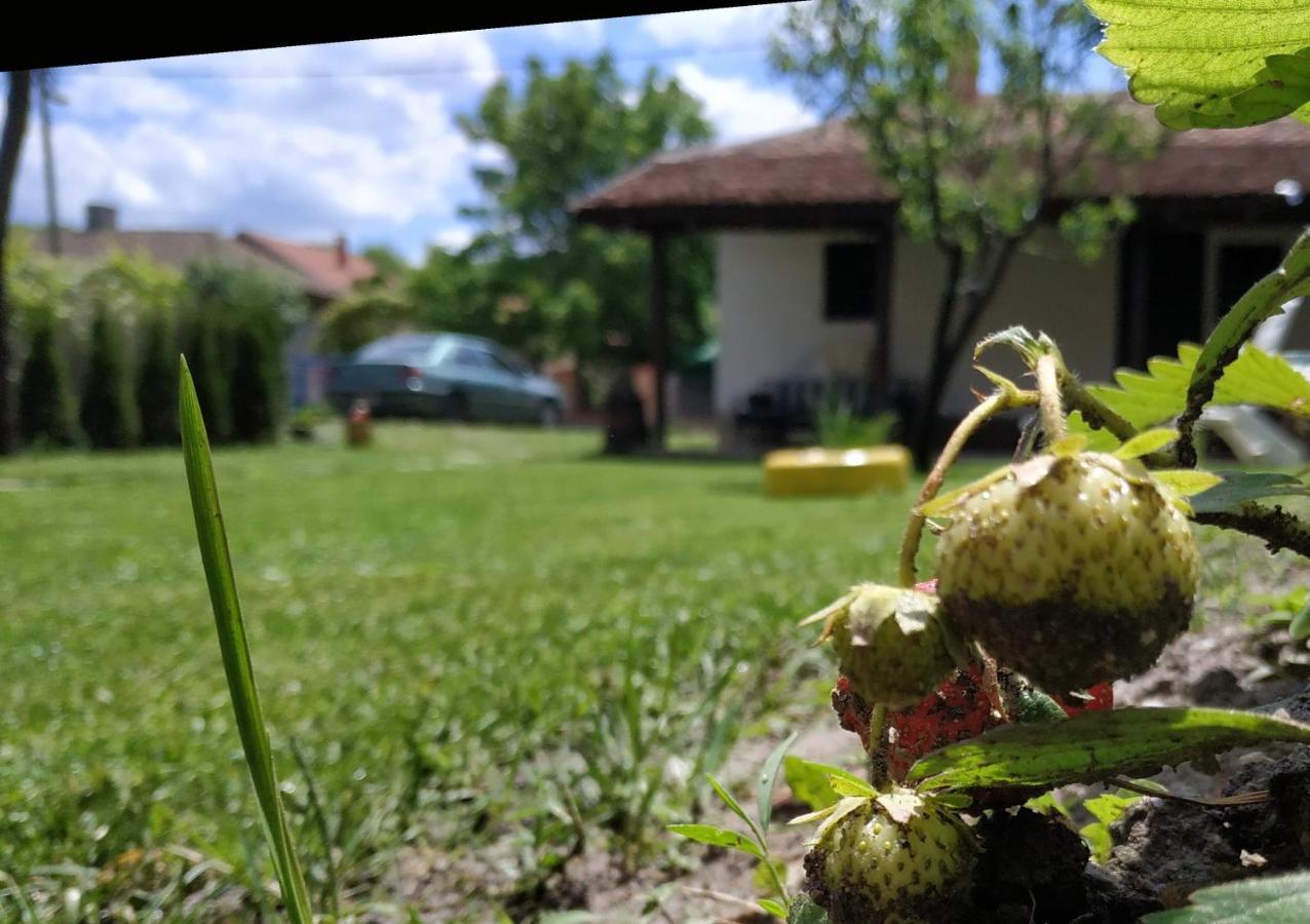Stara Kovacnica Βίλα Golubac Εξωτερικό φωτογραφία